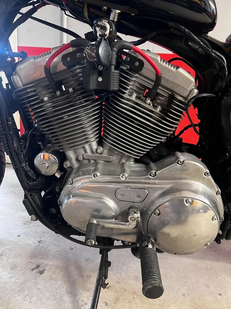 Harley-Davidson 883 (2008 - 09) - XL (6)