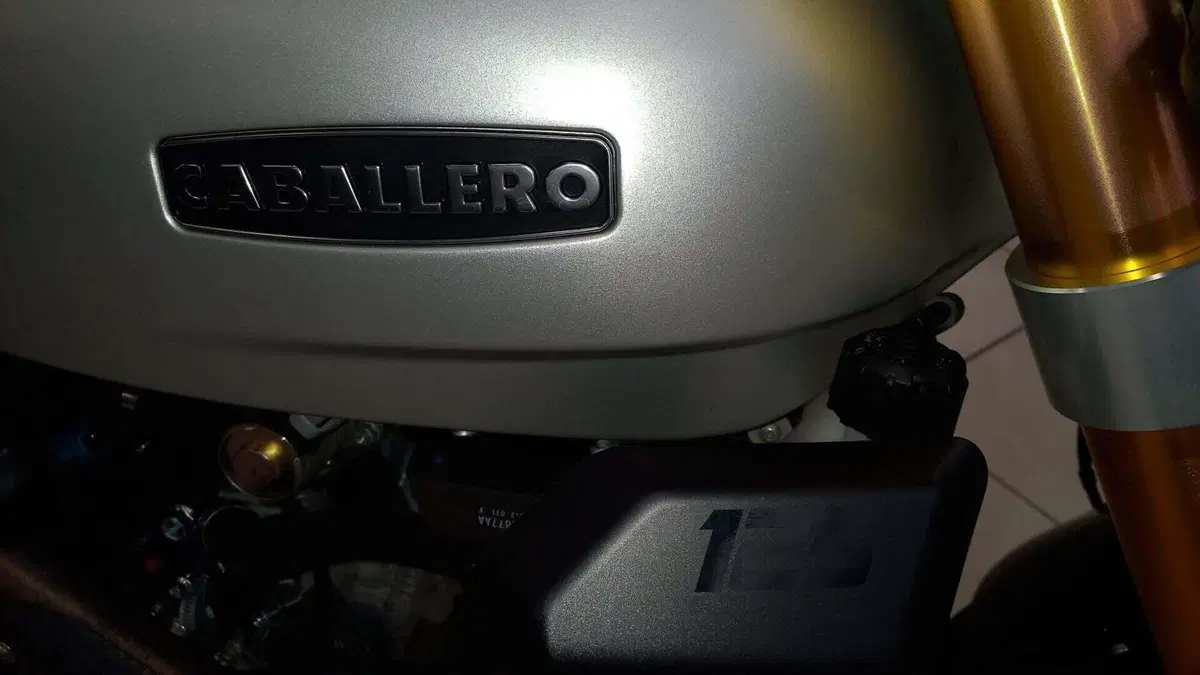 Fantic Motor Caballero 125 Flat Track (2021 - 24) (11)