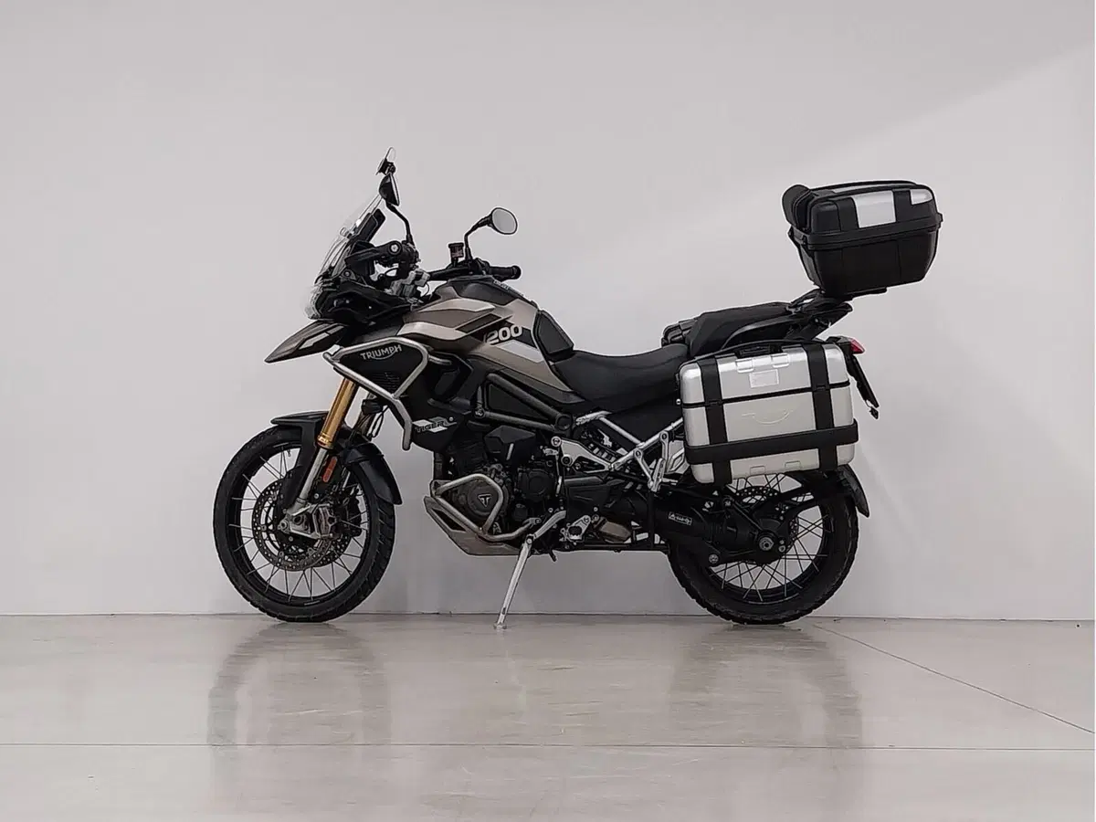 Triumph Tiger 1200 Rally Pro (2024 - 26) (3)