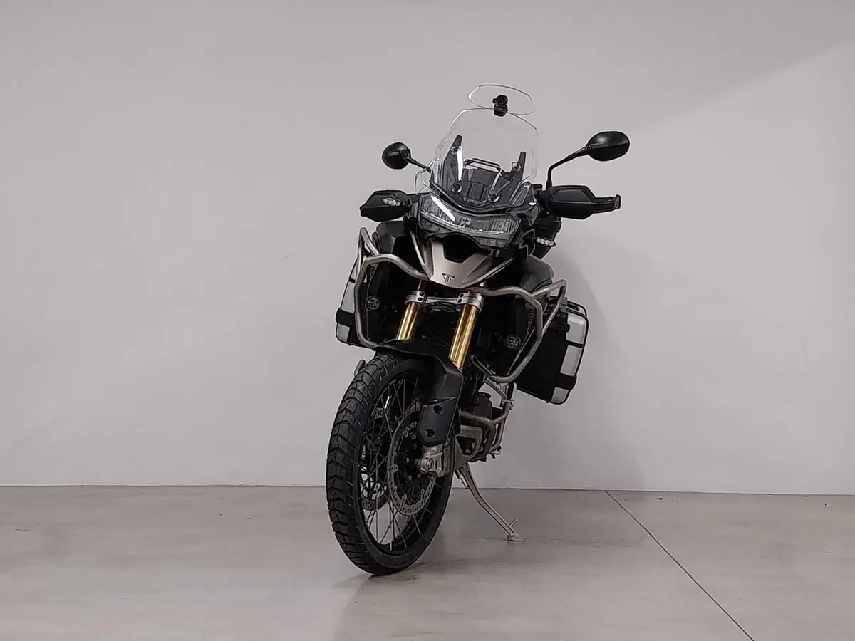 Triumph Tiger 1200 Rally Pro (2024 - 26) (4)