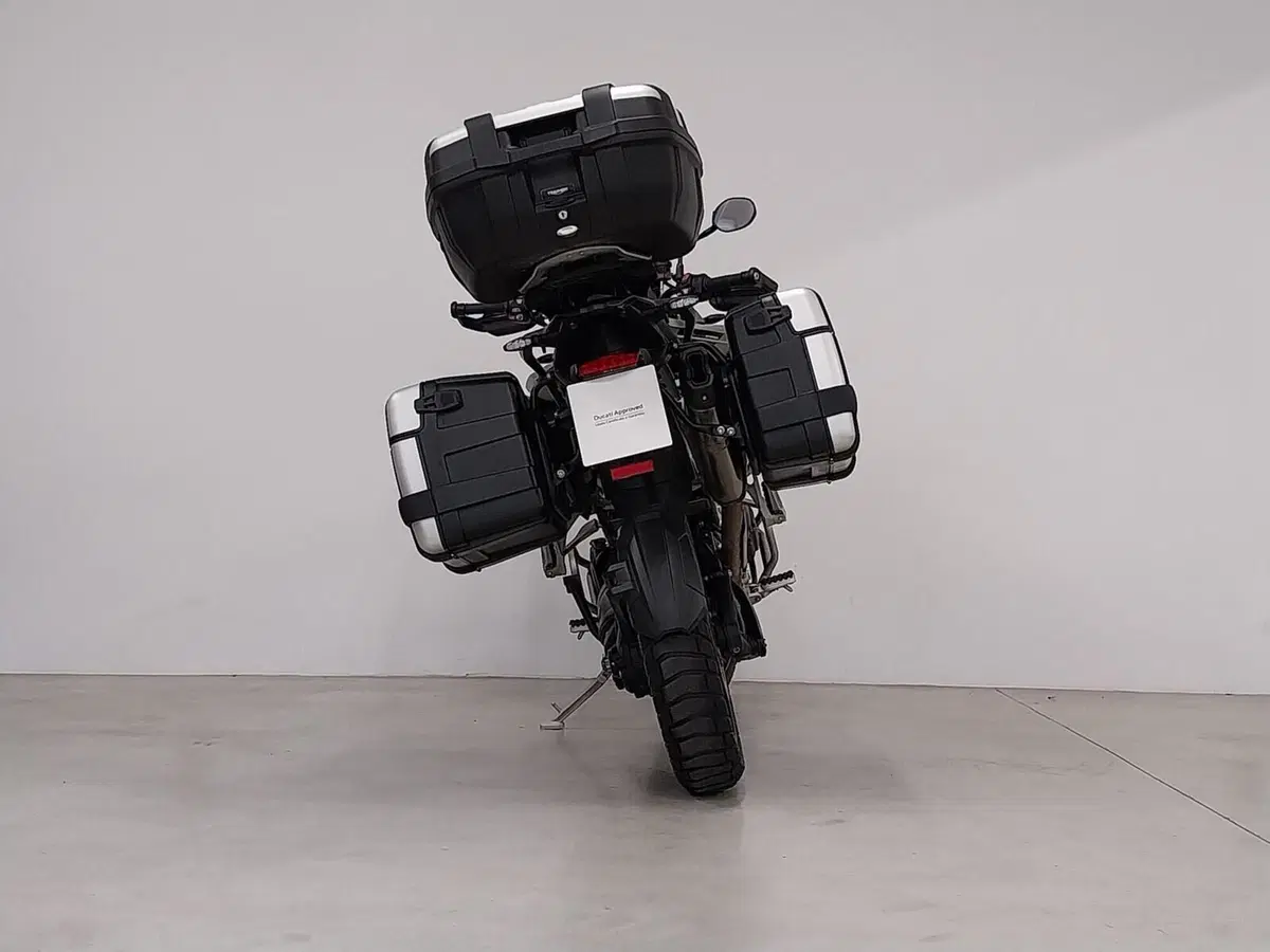 Triumph Tiger 1200 Rally Pro (2024 - 26) (5)