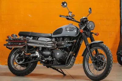 Triumph Scrambler (2006 - 17) usata