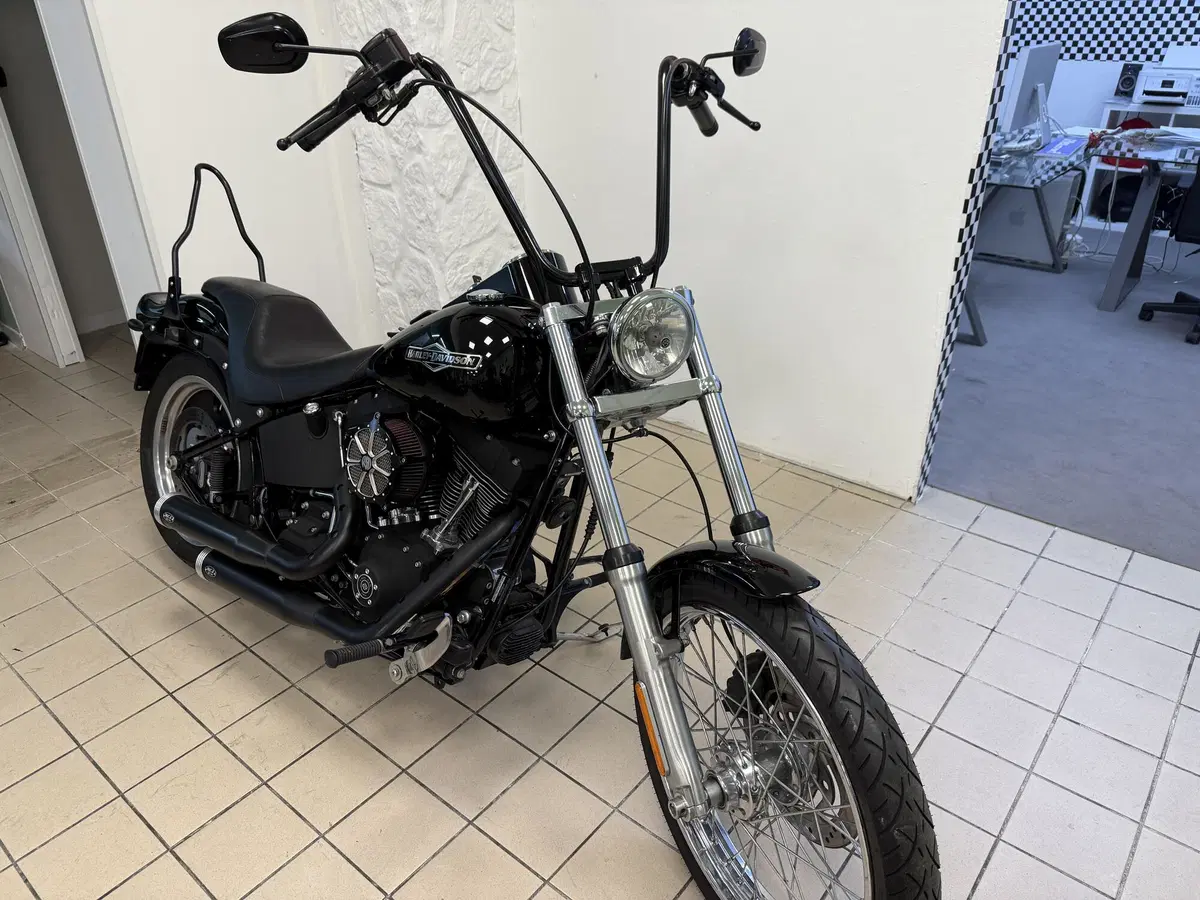 Harley-Davidson 1584 Night Train (2006 - 07) - FXSTB (3)