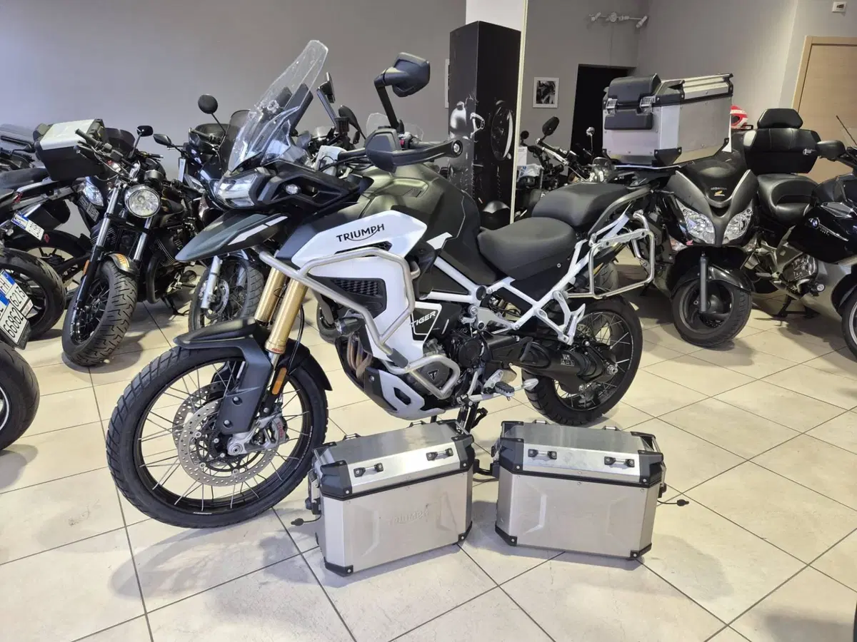 Triumph Tiger 1200 Rally Explorer (2024 - 26) (6)