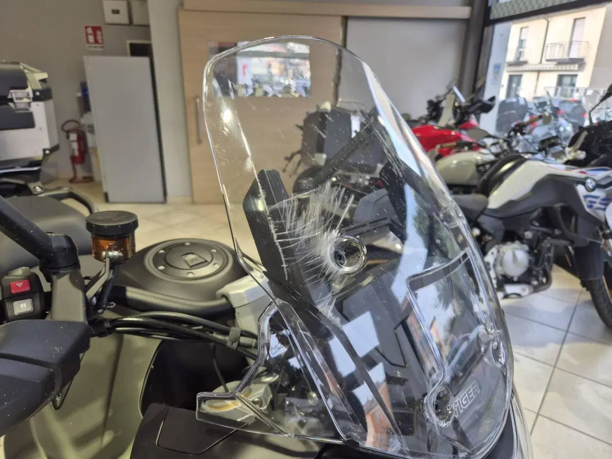 Triumph Tiger 1200 Rally Explorer (2024 - 26) (14)