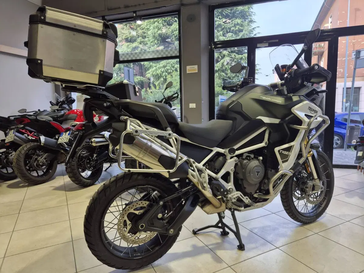 Triumph Tiger 1200 Rally Explorer (2024 - 26) (3)