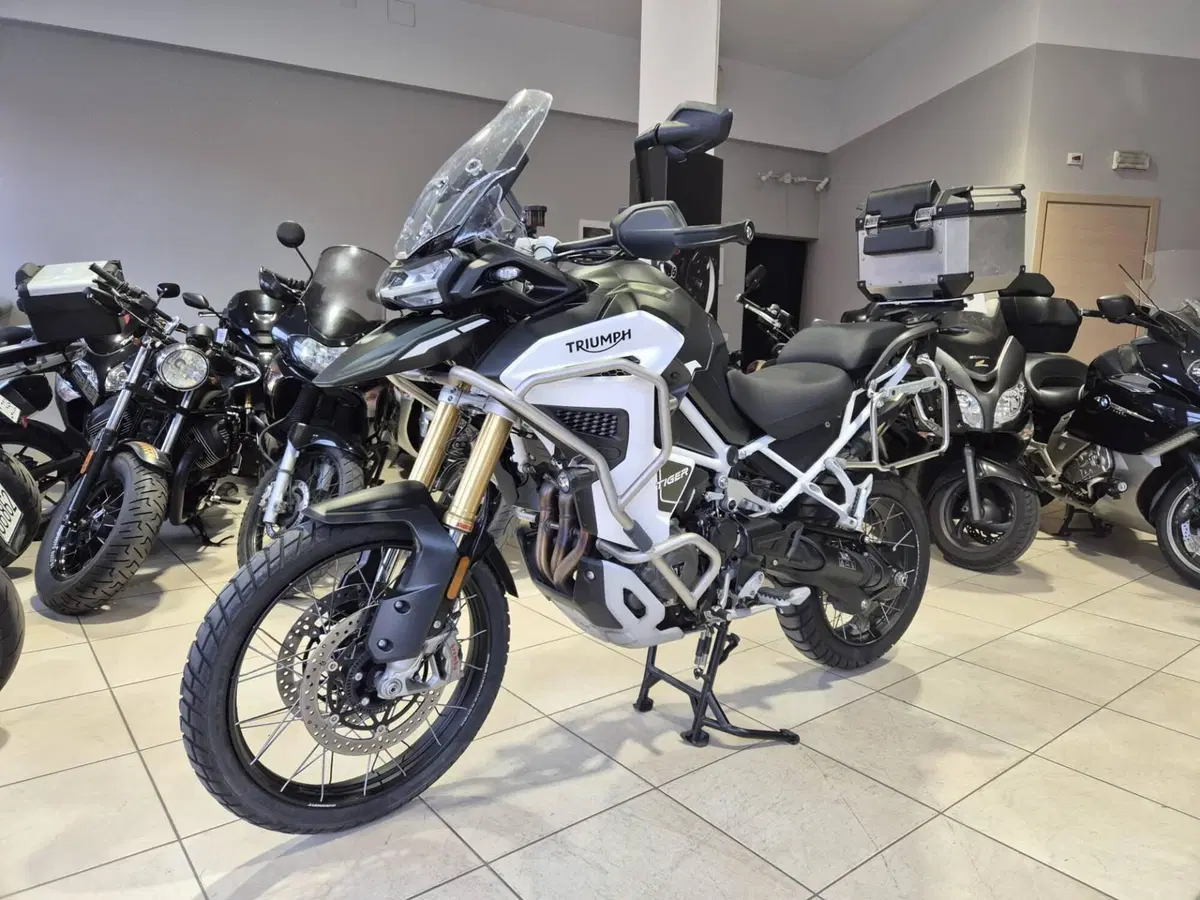 Triumph Tiger 1200 Rally Explorer (2024 - 26) (19)