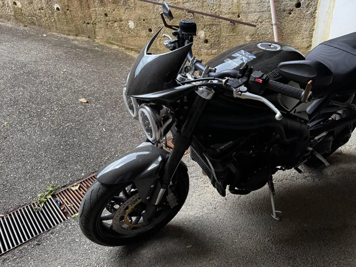 Triumph Speed Triple 1050 (2005 - 11) (4)