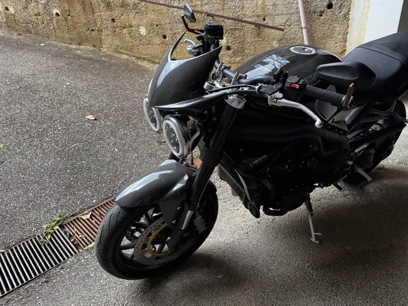 Triumph Speed Triple 1050 (2005 - 11) (5)