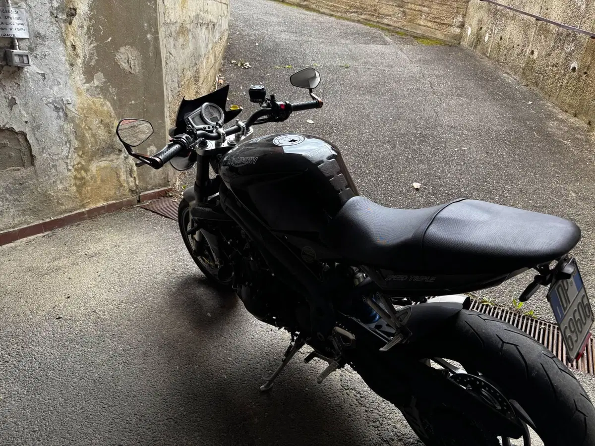 Triumph Speed Triple 1050 (2005 - 11) (6)