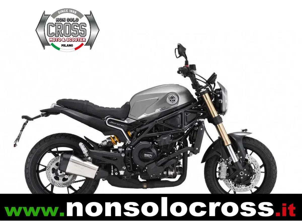 Benelli Leoncino 800 (2022 - 26)