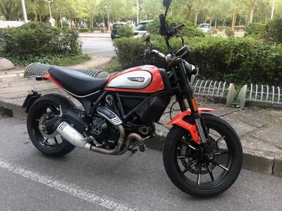 Ducati Scrambler 800 Icon (2017 - 20) usata