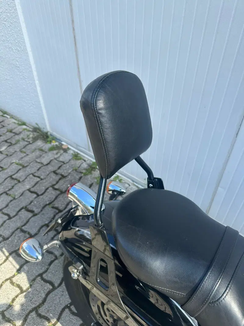 Harley-Davidson 1584 Wide Glide (2007 - 11) - FXDWG (5)