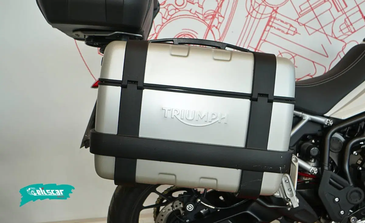 Triumph Tiger 900 GT Pro (2020 - 23) (6)