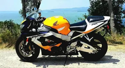 Honda CBR 900 RR Fireblade (2000 - 01) usata