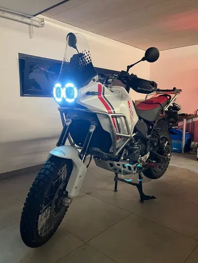 Ducati DesertX (2022 - 25) usata