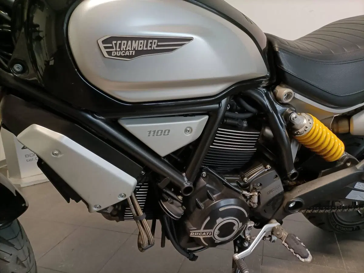 Ducati Scrambler 1100 (2018 - 20) (6)