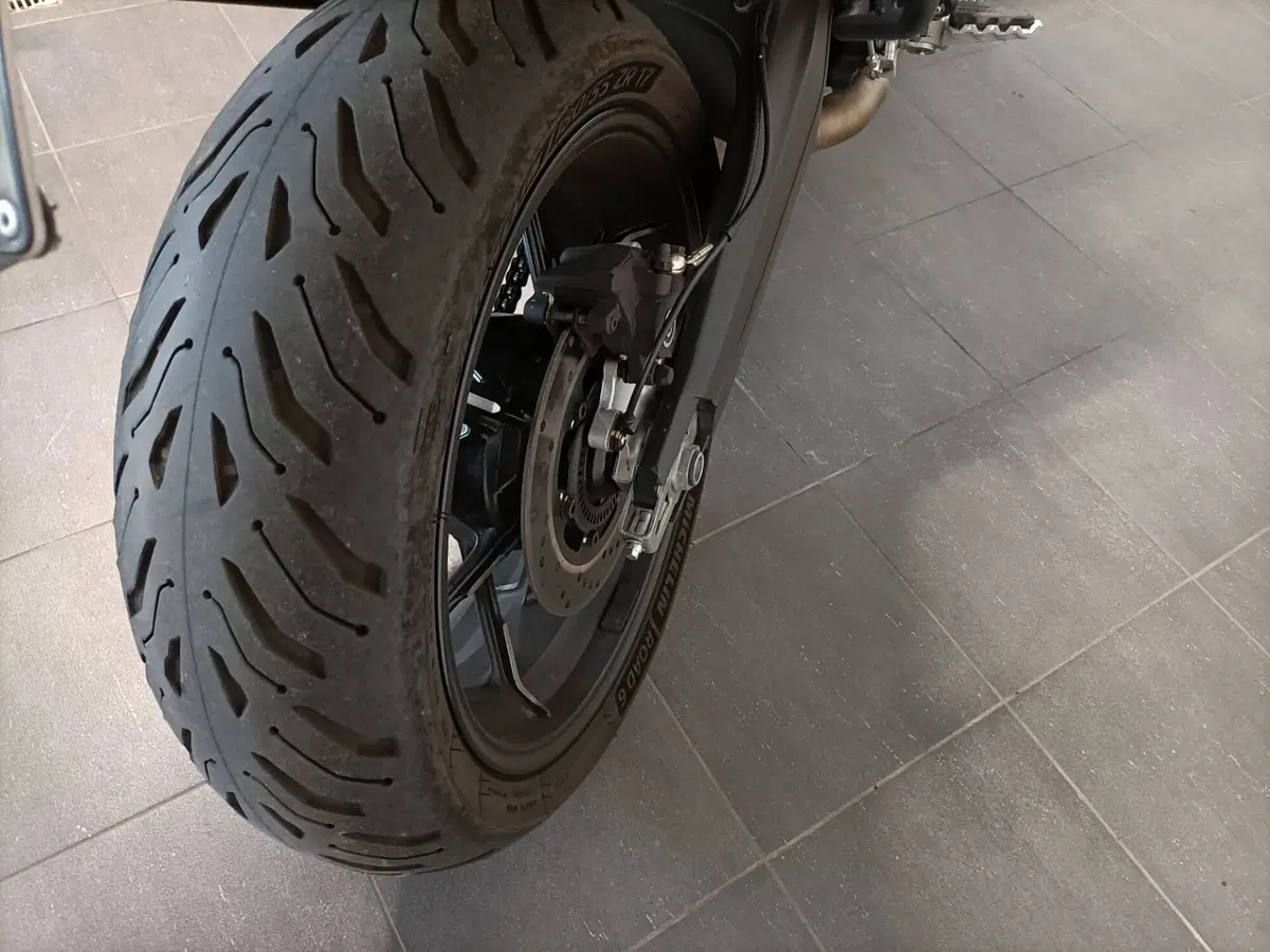 Ducati Scrambler 1100 (2018 - 20) (10)