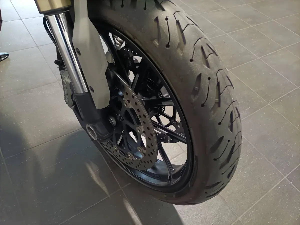 Ducati Scrambler 1100 (2018 - 20) (11)