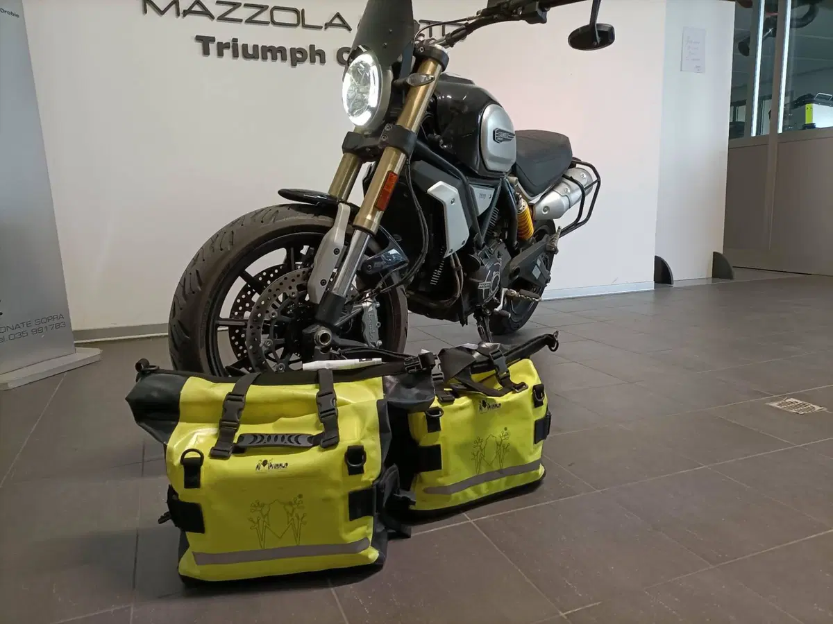 Ducati Scrambler 1100 (2018 - 20) (12)
