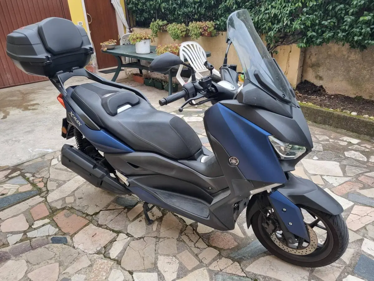 Yamaha X-Max 300 Iron Max (2019 - 20) (3)