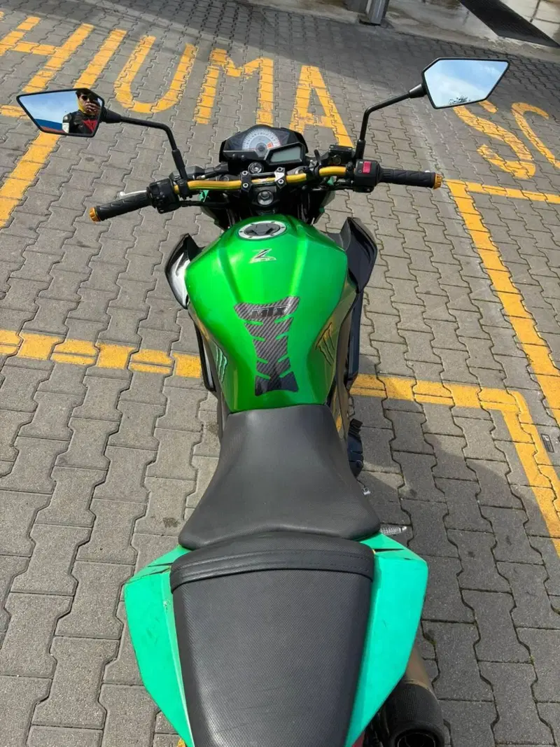 Kawasaki Z 300 ABS (2015 - 16)