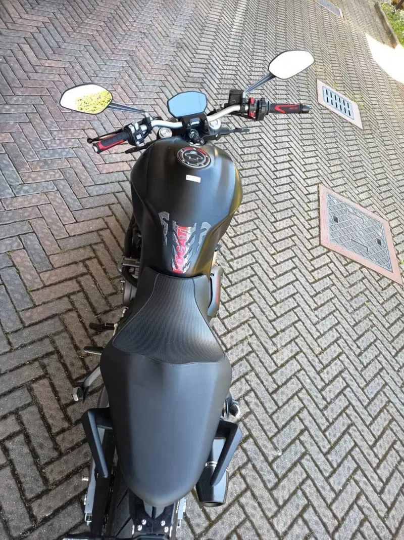 Ducati Monster 821 (2018 - 20) (6)