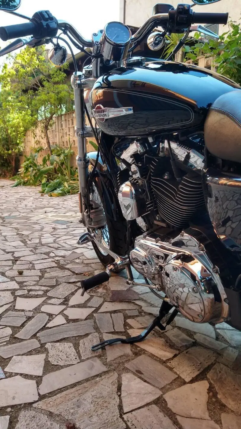 Harley-Davidson 1200 Custom ABS (2014 - 16) - XL 1200C (7)
