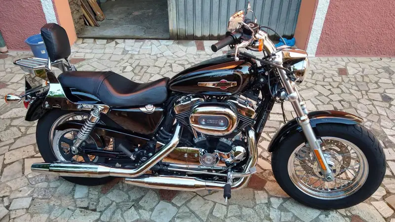 Harley-Davidson 1200 Custom ABS (2014 - 16) - XL 1200C (9)