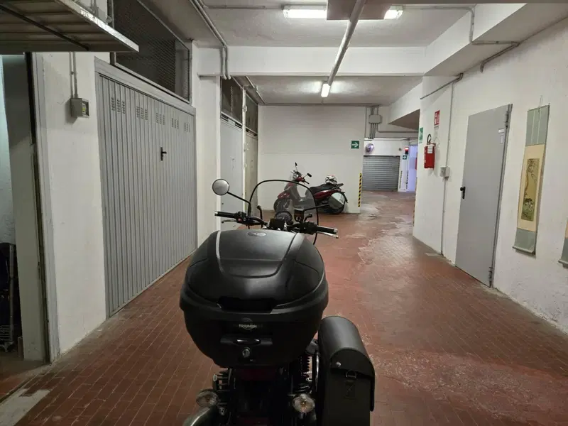 Triumph Speed Twin 900 (2023 - 24) (5)