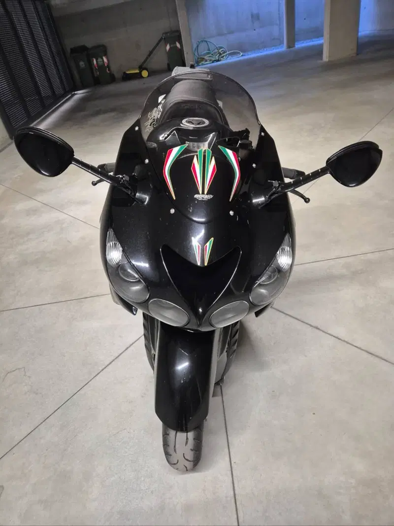 Kawasaki ZZR 1400 (2006 - 11) (3)