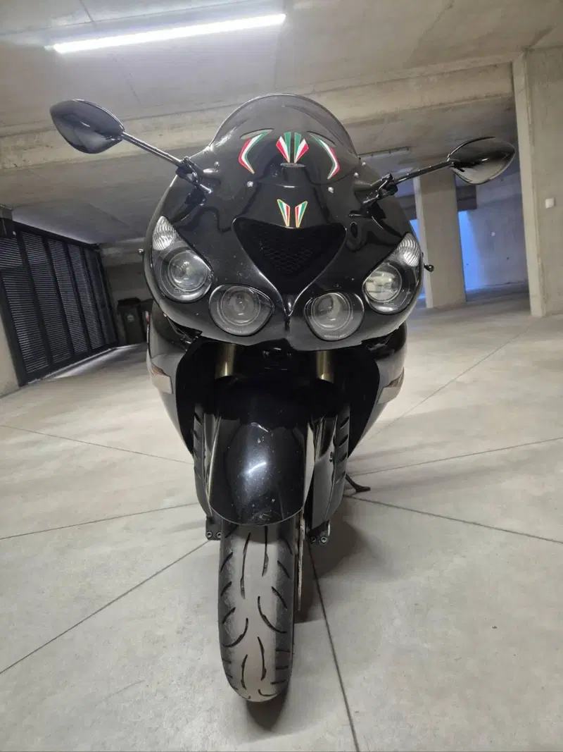 Kawasaki ZZR 1400 (2006 - 11) (4)