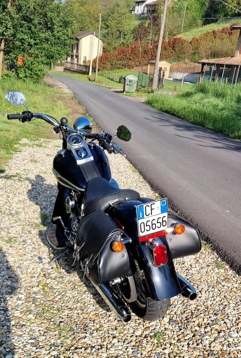 Harley-Davidson 1450 Heritage Springer Classic (2005 - 07) - FLSTSC (5)