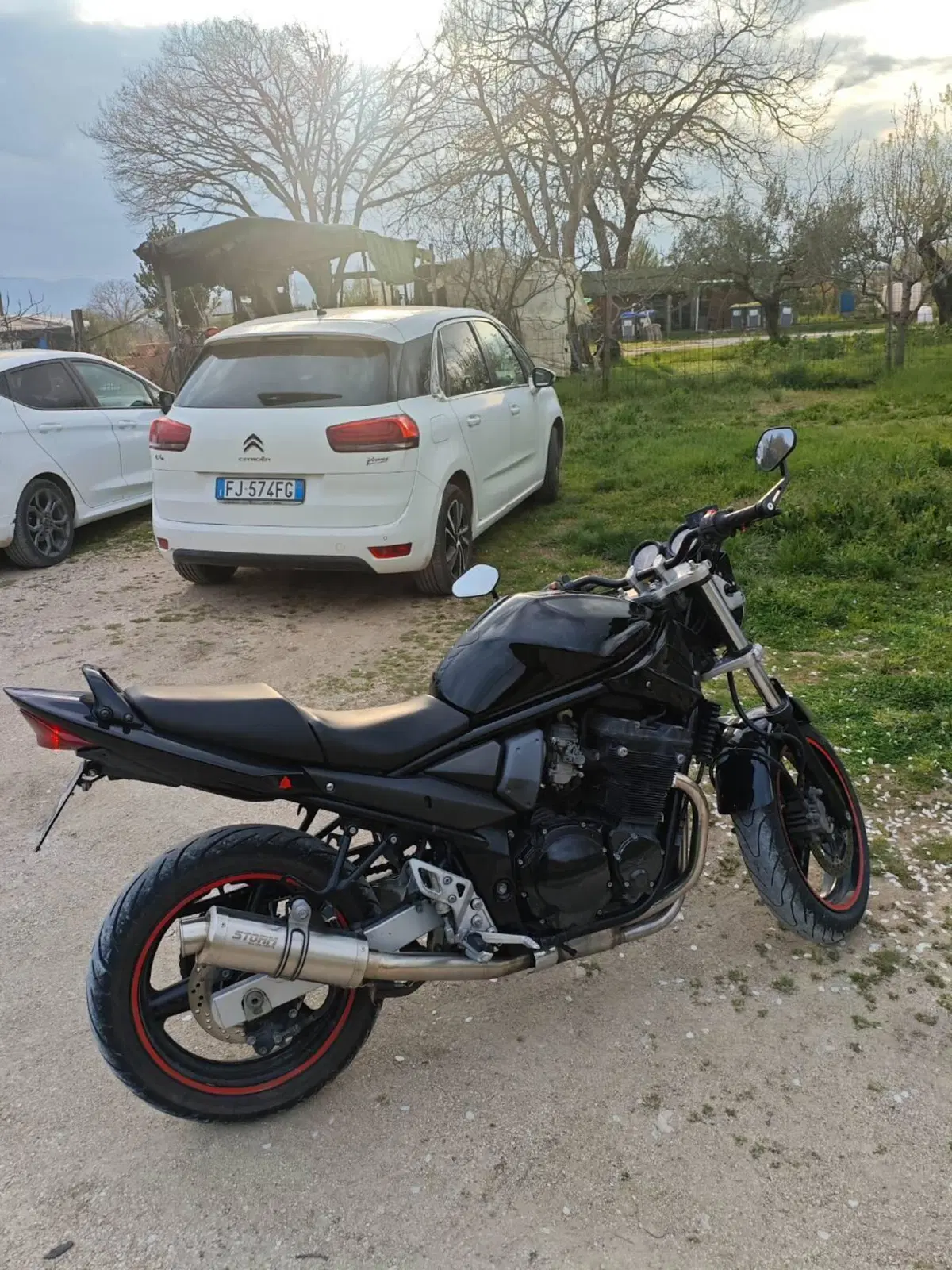 Suzuki GSF 650 Bandit (2005 - 06) (2)