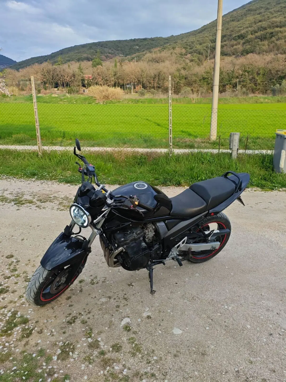 Suzuki GSF 650 Bandit (2005 - 06) (4)