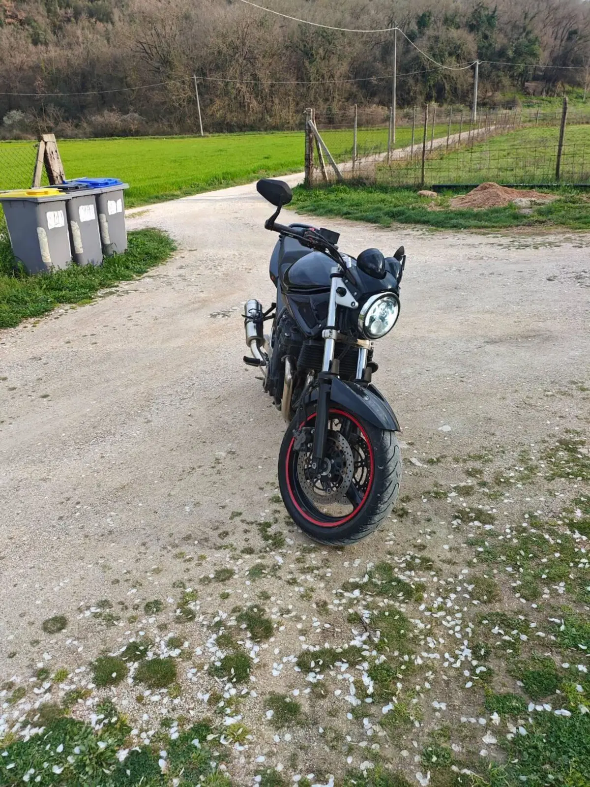 Suzuki GSF 650 Bandit (2005 - 06) (8)