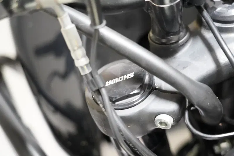 Royal Enfield Himalayan 450 (2024 - 26) (10)