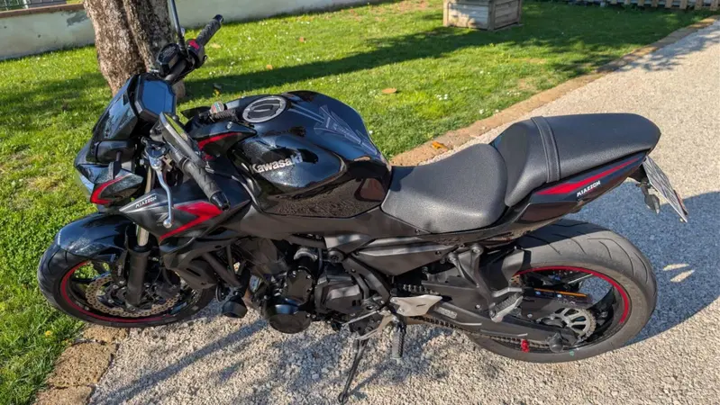 Kawasaki Z 650 (2021 - 24)