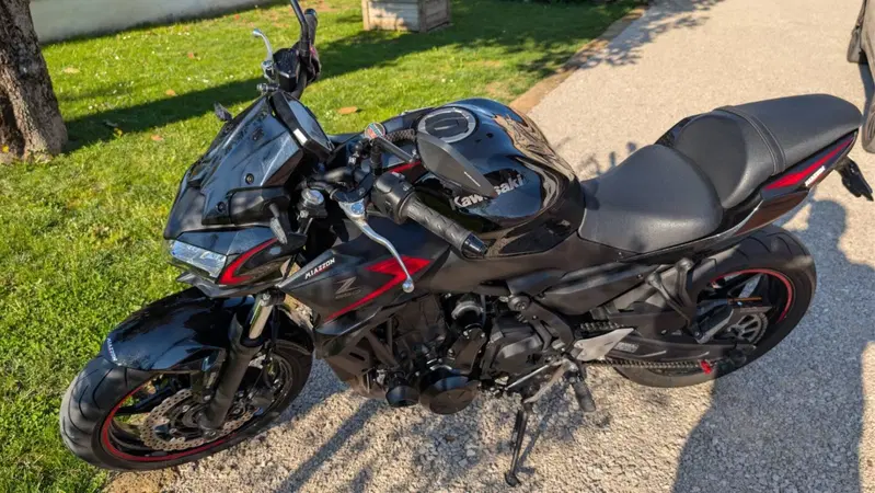 Kawasaki Z 650 (2021 - 24) (5)