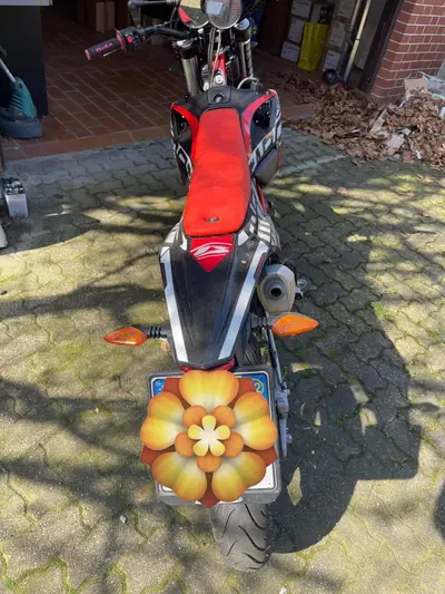 Betamotor RR 125 4T Motard LC (2021 - 23) usata