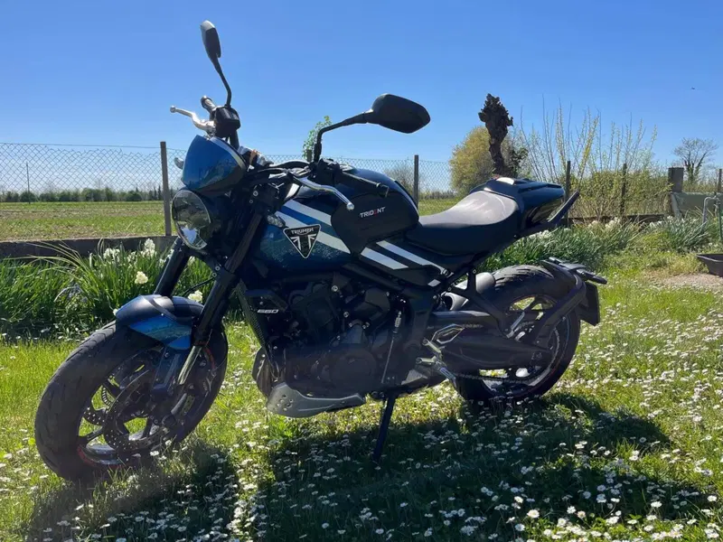 Triumph Trident 660 (2025) (6)