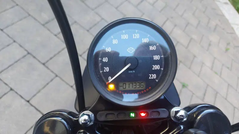 Harley-Davidson 883 Iron (2014 - 16) - XL 883N (4)