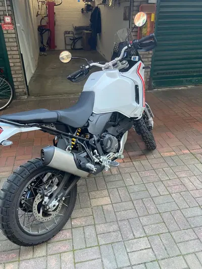 Ducati DesertX (2022 - 25) usata