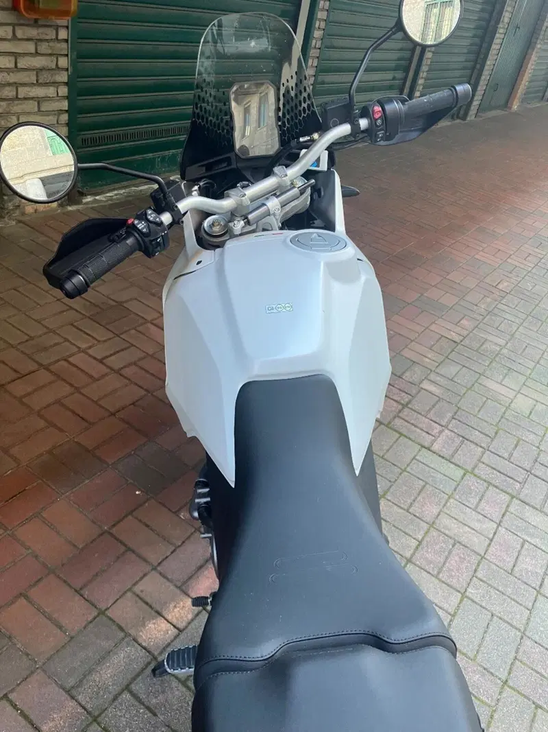 Ducati DesertX (2022 - 25) (6)