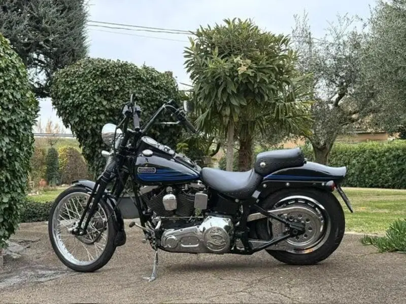 Harley-Davidson softail Bad Boy 1340 (8)