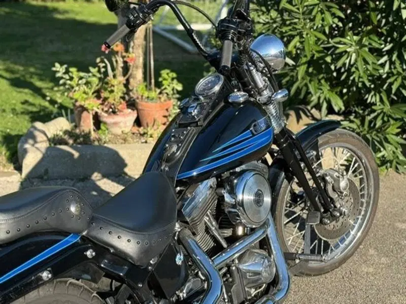 Harley-Davidson softail Bad Boy 1340 (11)