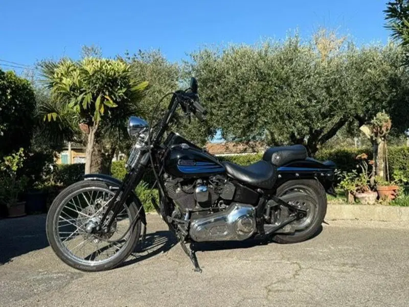 Harley-Davidson softail Bad Boy 1340 (12)