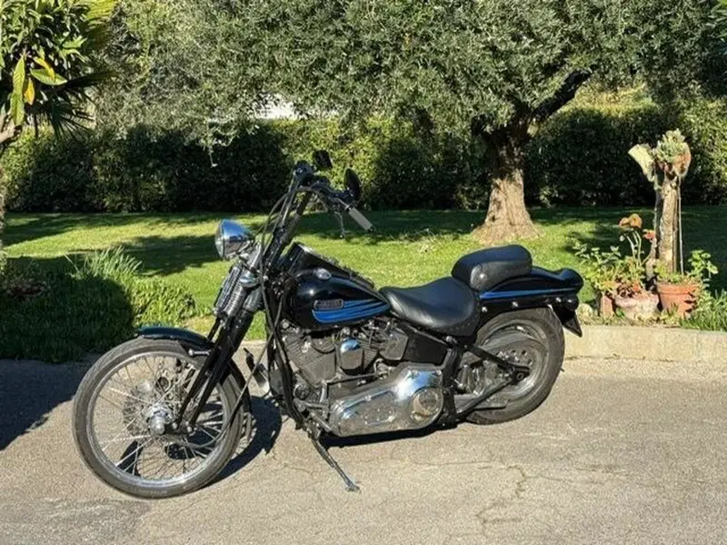 Harley-Davidson softail Bad Boy 1340 (16)