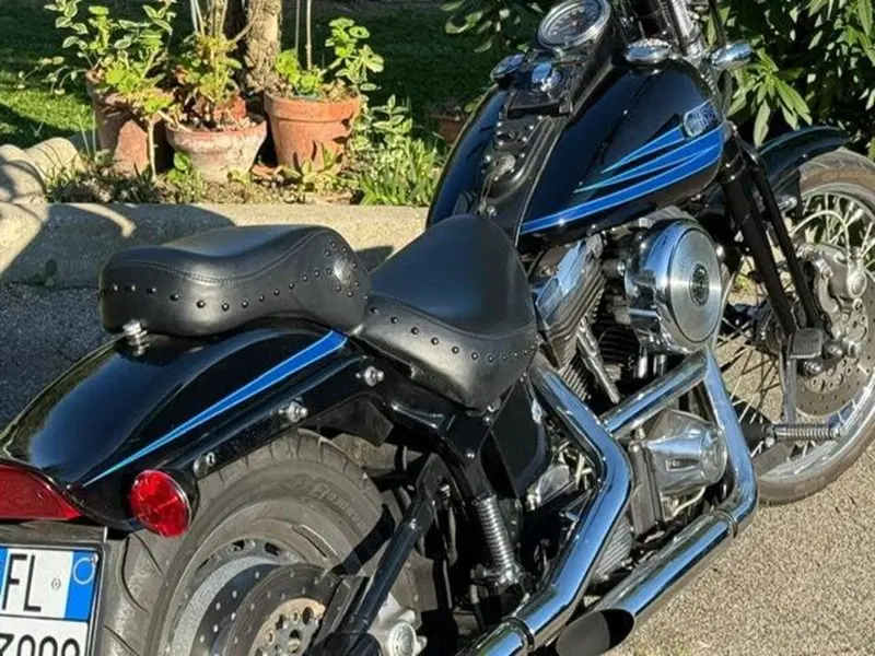 Harley-Davidson softail Bad Boy 1340 (18)