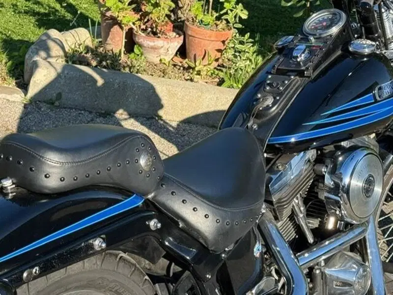 Harley-Davidson softail Bad Boy 1340 (20)